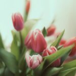 Your revival is here.